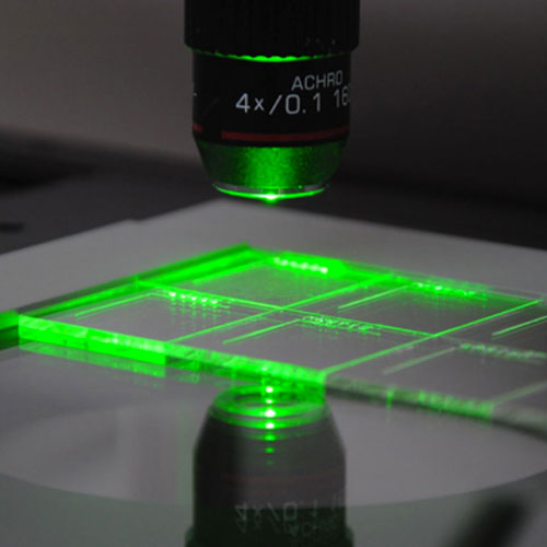 Politrack固態(tài)核徑跡蝕刻探測器 Politrack固態(tài)核徑跡蝕刻探測器